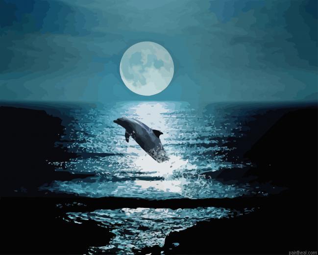 Dolphin at night painting by numbers.jpeg