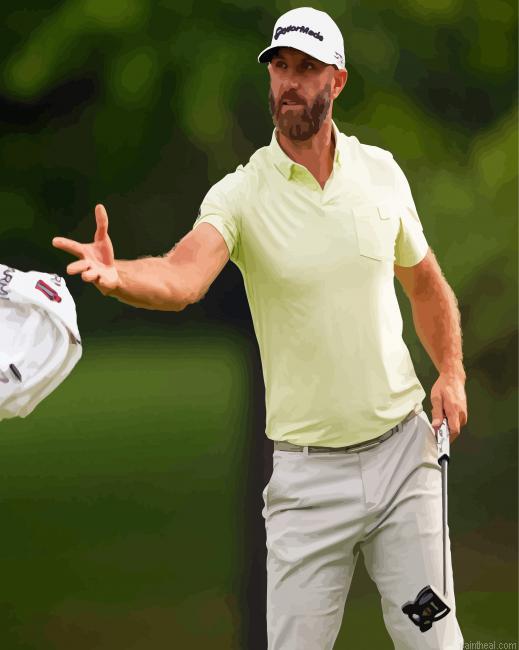 Dustin johnson painting by numbers.jpeg