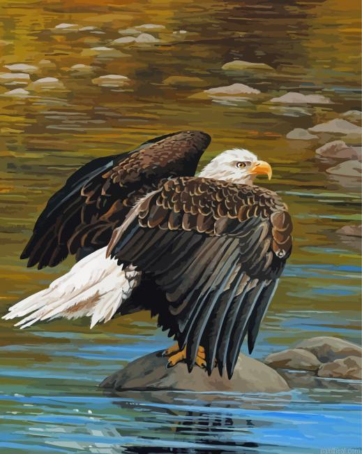 Eagle on the river art painting by numbers.jpeg