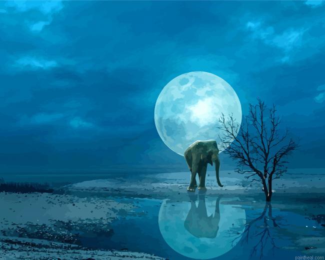 Elephant moon water reflection painting by numbers.jpeg