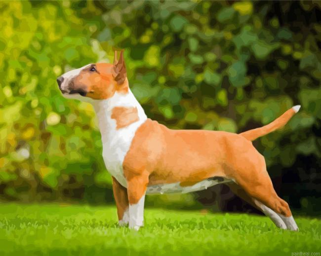 English bull terrier painting by numbers.jpeg