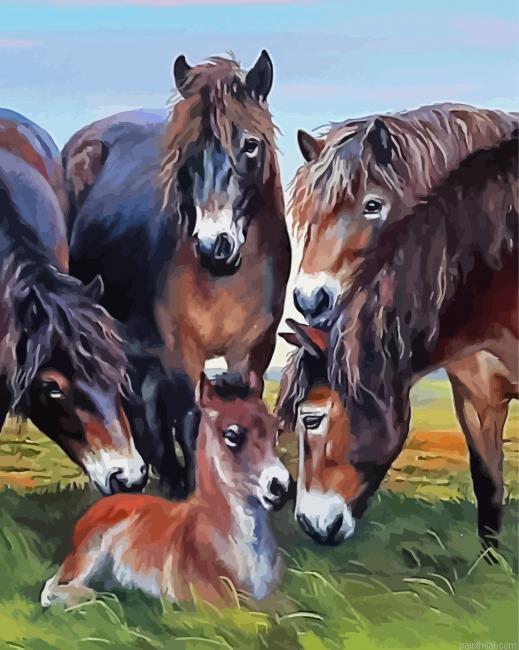 Exmoor pony animals painting by numbers.jpeg