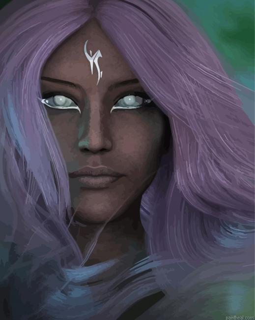 Fantasy black elf painting by numbers.jpeg