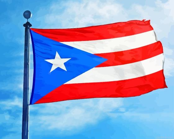 Flag of puerto rico painting by numbers.jpeg