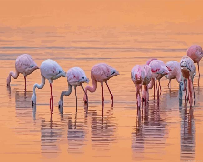 Flamingos birds in lake nakuru painting by numbers.jpeg