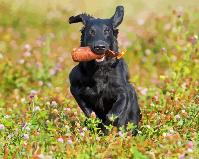 Flat coated retriever on the way home painting by numbers.jpeg