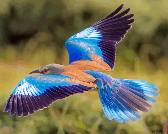 Flying roller bird painting by numbers.jpeg