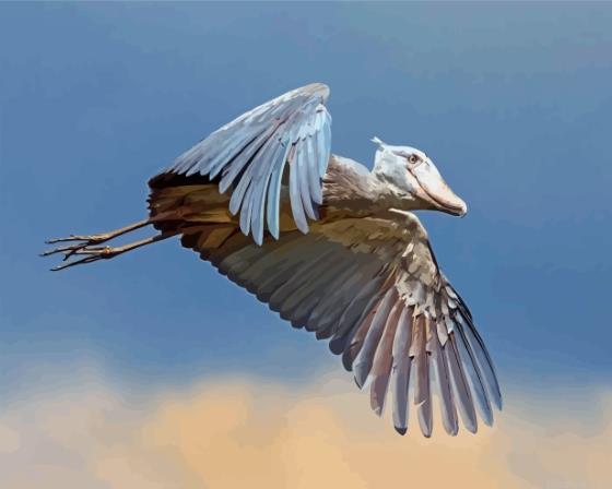 Flying shoebill painting by numbers.jpeg