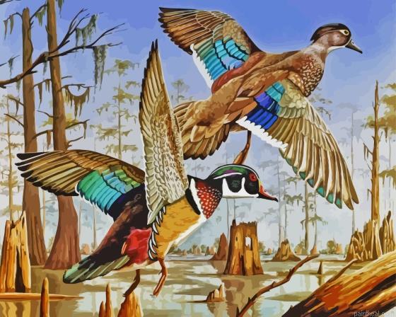 Flying wood ducks painting by numbers.jpeg