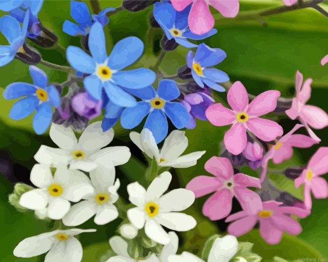 Forget me nots painting by numbers.jpeg