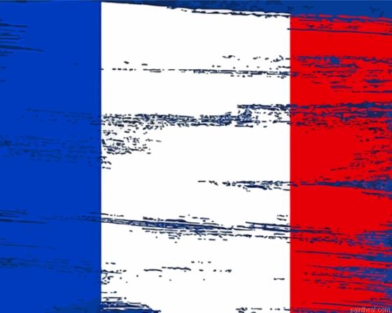 France flag art painting by numbers.jpeg