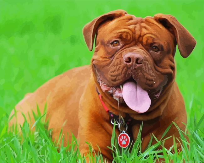 French mastiff in grass painting by numbers.jpeg