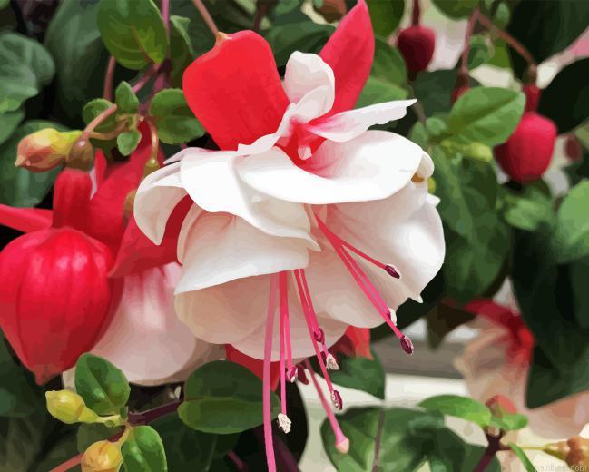 Fuchsia flower painting by numbers.jpeg