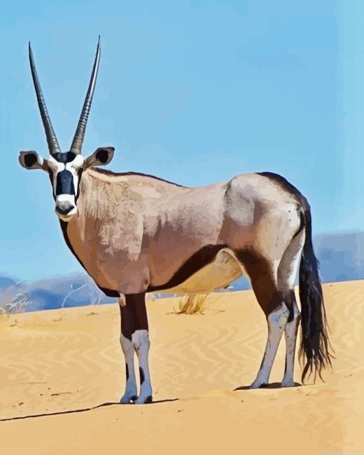 Gemsbok animal painting by numbers.jpeg