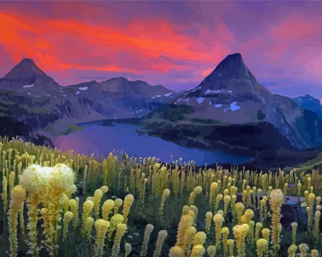 Glacier national park beargrass plants painting by numbers.jpeg