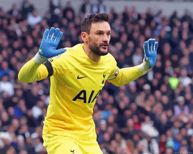 Goalkeeper hugo lloris painting by numbers.jpeg