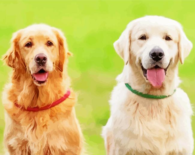 Golden and cream retriever painting by numbers.jpeg
