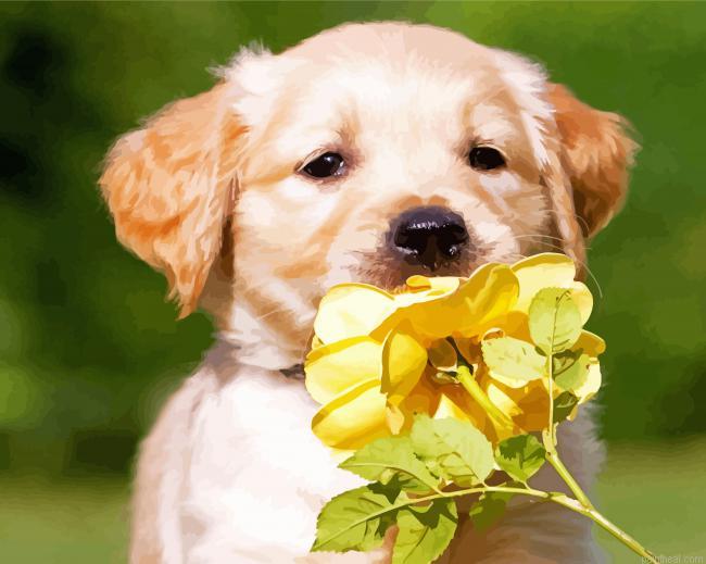 Golden puppy with yellow flower painting by numbers.jpeg