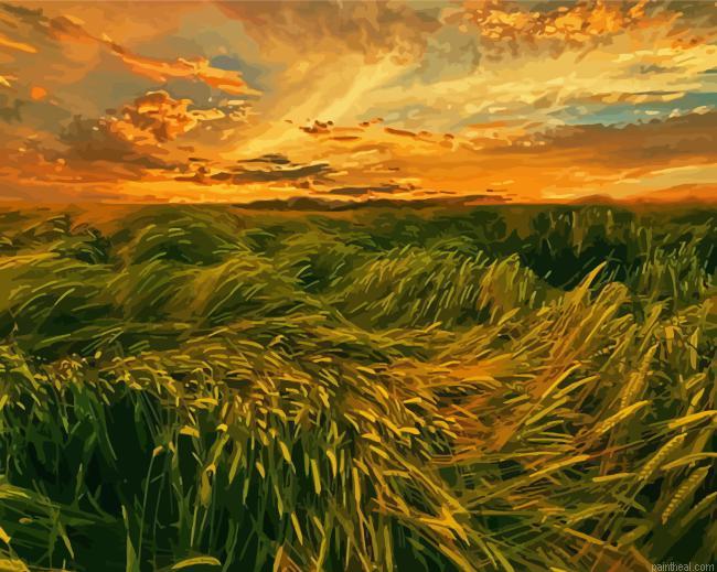 Grass field on a windy day painting by numbers.jpeg