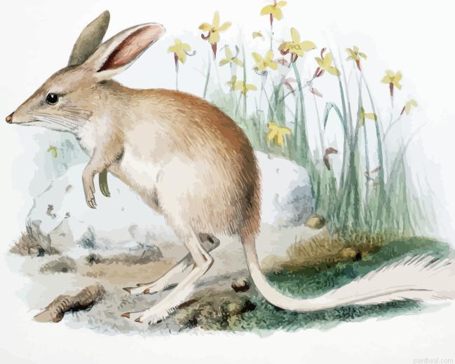 Greater bilby painting by numbers.jpeg