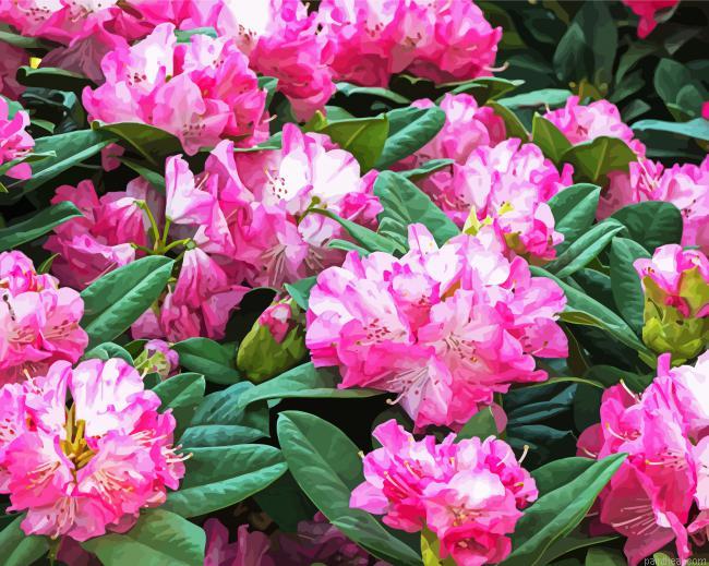 Green and pink flowers painting by numbers.jpeg