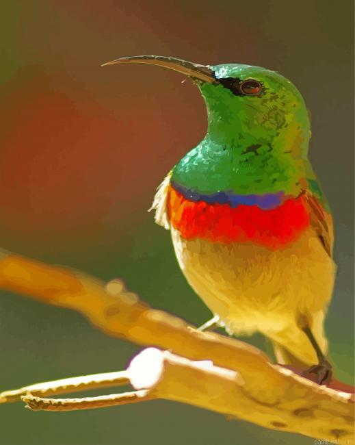 Green head sunbird painting by numbers.jpeg
