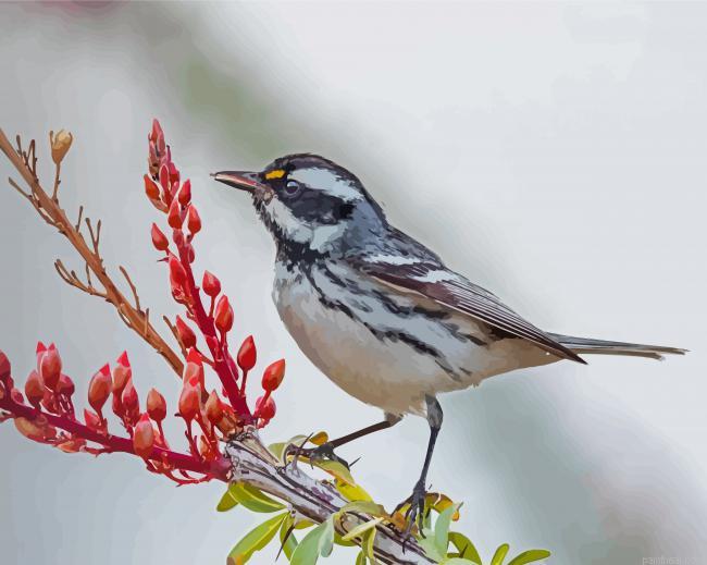 Grey and white bird on tree painting by numbers.jpeg