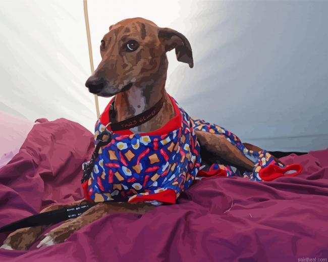 Greyhound dog in uniform painting by numbers.jpeg