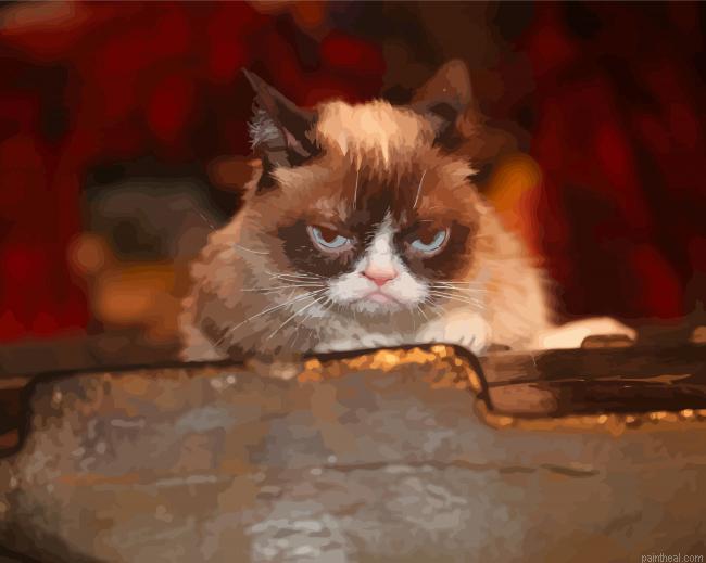 Grumpy cat painting by numbers.jpeg