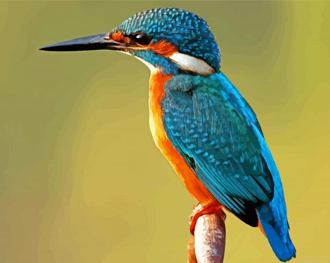 Halcyon bird painting by numbers.jpeg