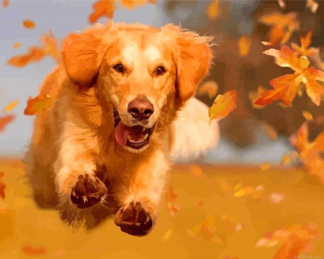 Happy autumn golden retriever painting by numbers.jpeg
