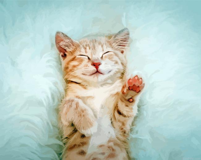 Happy cat sleeping painting by numbers.jpeg