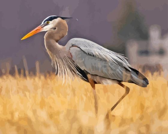 Herring bird painting by numbers.jpeg