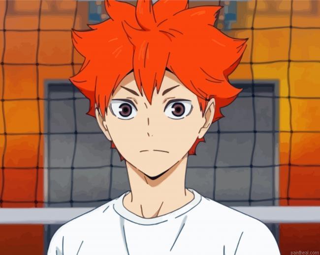 Hinata shoyo painting by numbers.jpeg