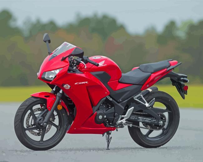 Honda cb300r motorcycle painting by numbers.jpeg