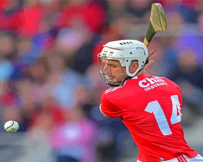 Hurling irish sport painting by numbers.jpeg