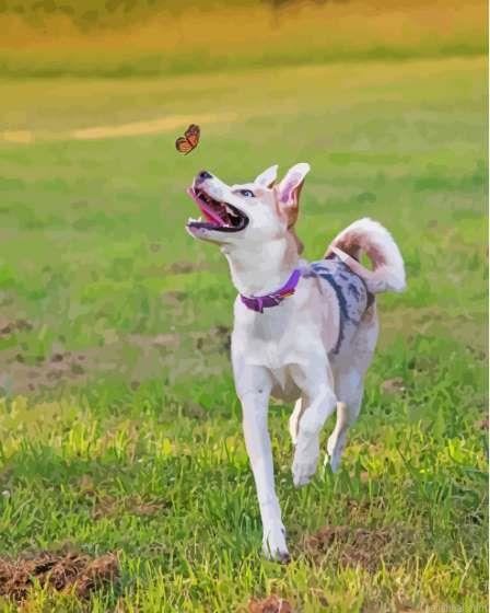 Husky puppy playing with butterfly painting by numbers.jpeg
