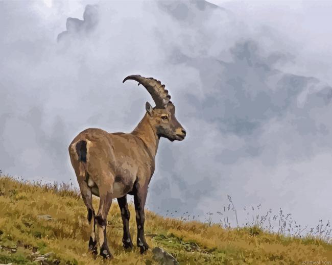 Ibex animal painting by numbers.jpeg