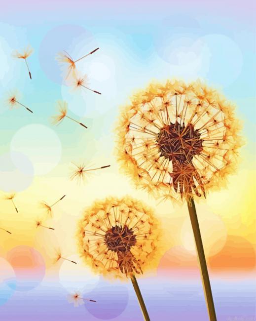 Illustration sunset dandelions painting by numbers.jpeg