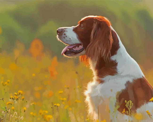 Irish red white setter painting by numbers.jpeg