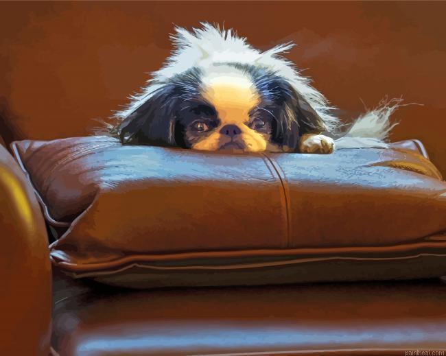 Japanese chin animal painting by numbers.jpeg