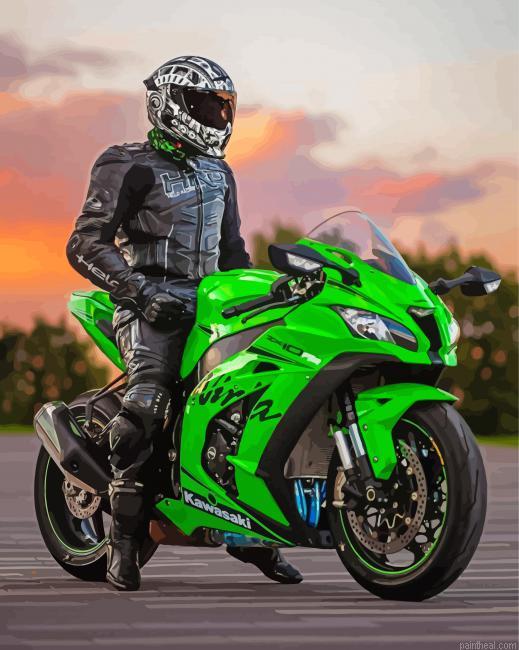 Kawasaki ninja motorcycle driver painting by numbers.jpeg