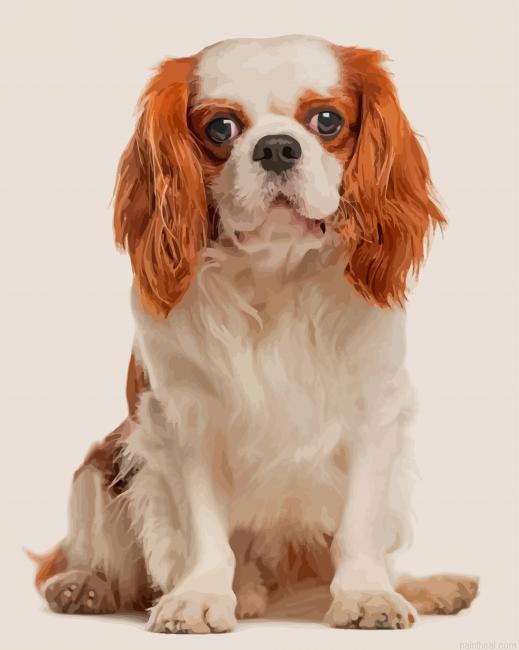 King spaniel painting by numbers.jpeg