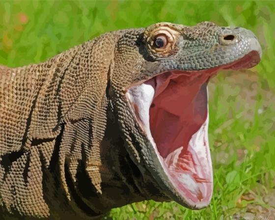 Komodo dragon monitor painting by numbers.jpeg