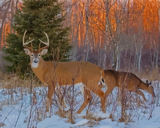 Large buck and doe in snow painting by numbers.jpeg