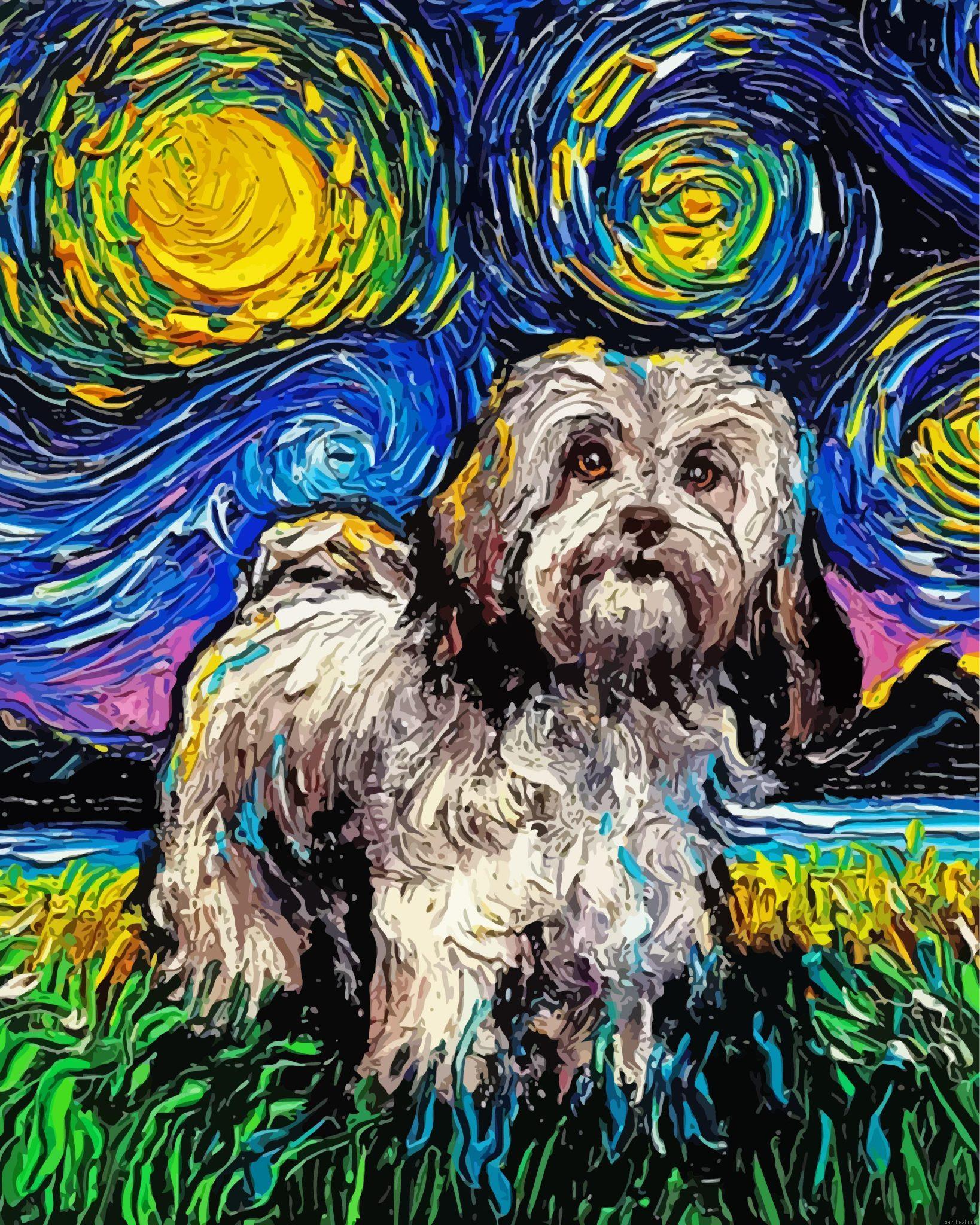 Lhasa apso starry night painting by numbers.jpeg