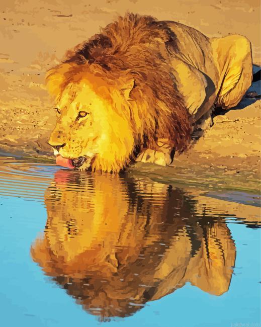 Lion drinking water painting by numbers.jpeg