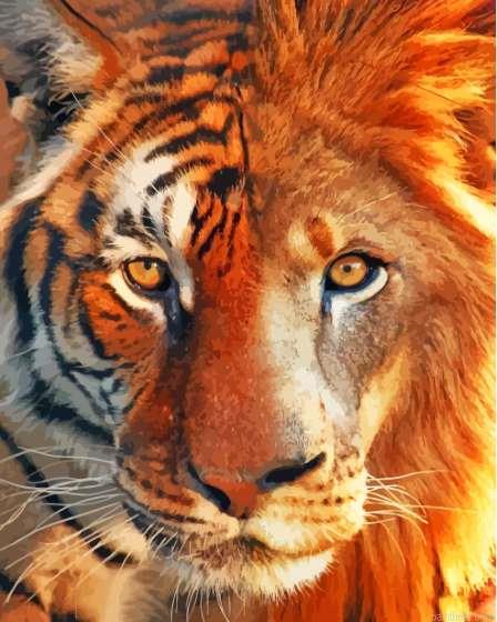 Lion tiger painting by numbers.jpeg