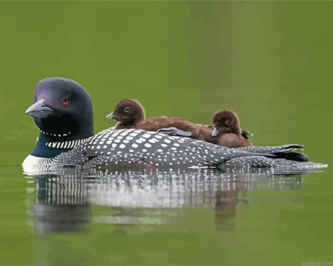 Loon family on lake painting by numbers.jpeg