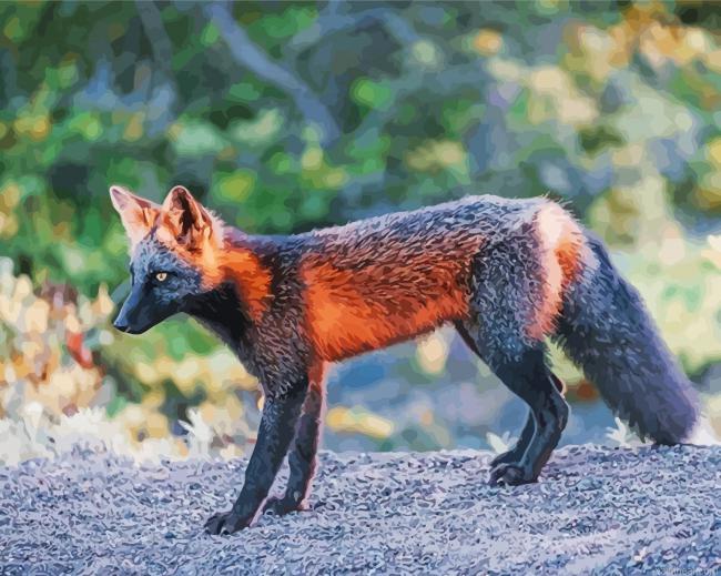 Melanistic fox side view painting by numbers.jpeg